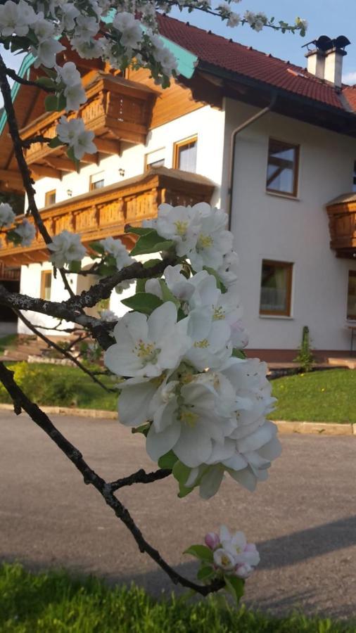 Appartement Lederhof à Abtenau Extérieur photo